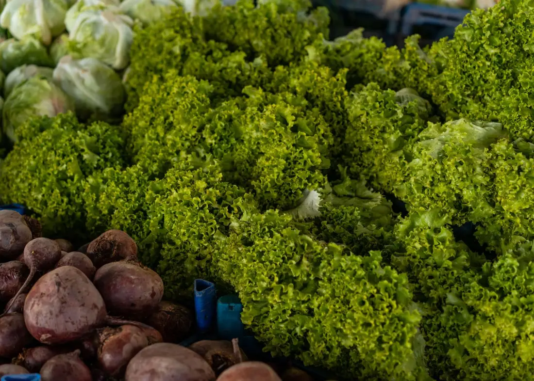 Fresh vegetables on display at a market stall