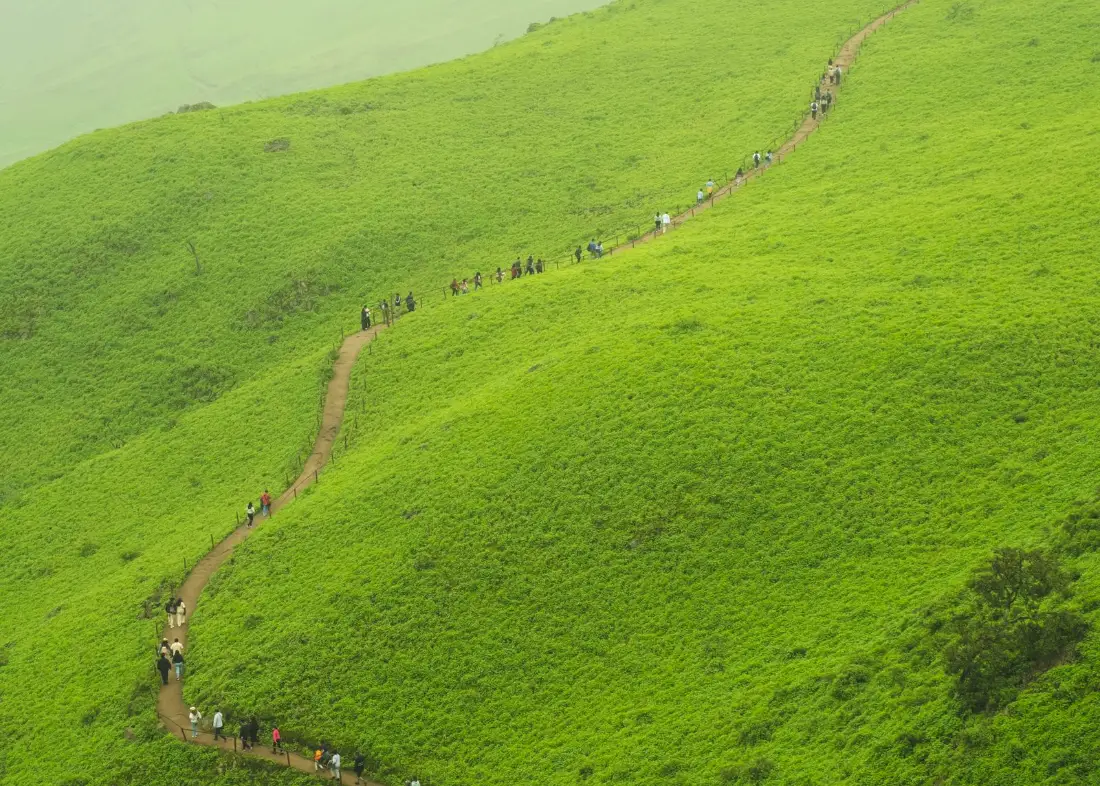 A walking trail winding through green hills