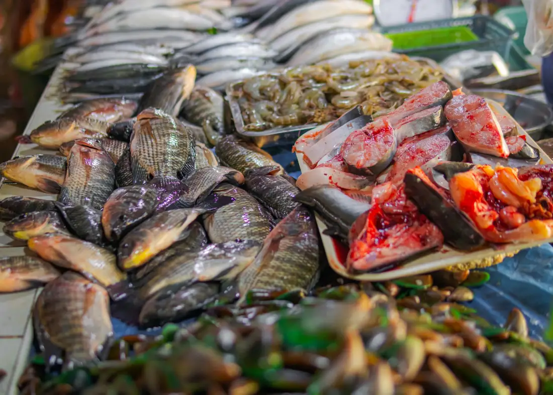 Fresh fish and prawns on a market stall